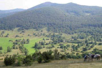 Croazia Privát Rakovica, Esterno